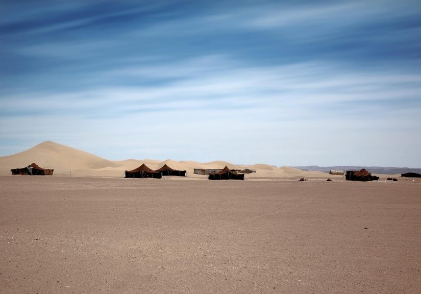 pexels-mographe-30489582